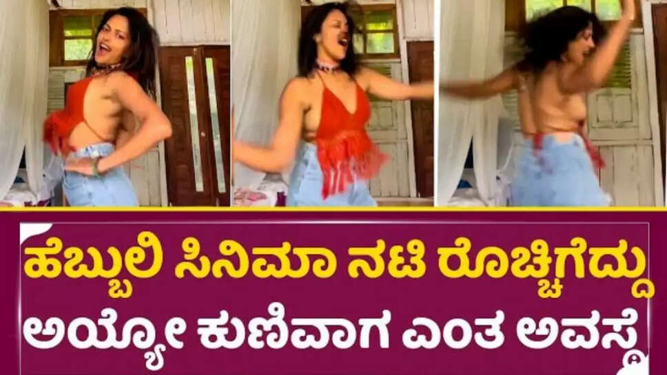 ಹೆಬ್ಬುಲಿ ಸಿನಿಮಾ ನಟಿಯ ಸಕ್ಕತ್ ಡ್ಯಾನ್ಸ್ ನೋಡಿ