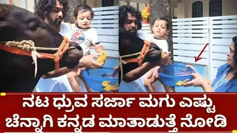 ಸ್