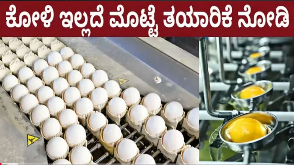 ಕೋಳಿ